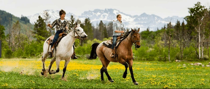 Confident plus-size woman riding Sparkhill a horse through a field with a smile on her face.